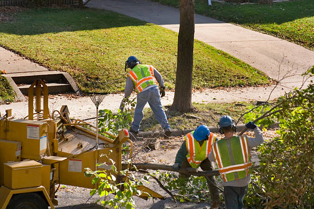 Best Lawn Drainage Solutions  in Flower Hill, NY